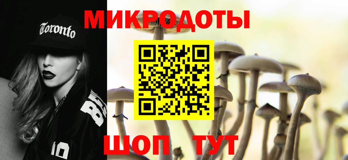 Клинцы  Псилоцибиновые грибы ЛСД  Вход с VPN 